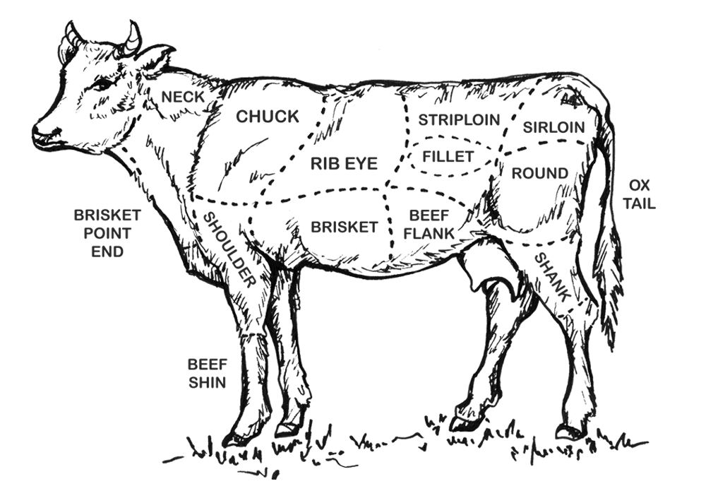 Cow Cuts by FX Buckley